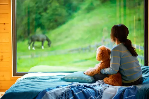 Photo of Woman sitting with her dog on the bed and looks outside the window watching a horse.