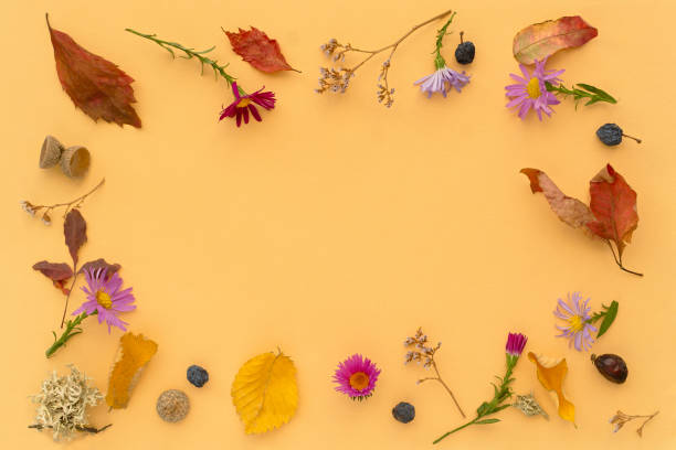 Autumn flat lay. Small multicolored flowers, leaves, nuts, berries on a beige pastel background. Beautiful frame. Copy space, creative floral background. Mother's Day concept, mockup postcards