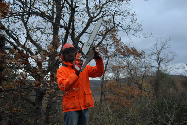istock lumberjack with orange outfit and chainsaw 1344915184
