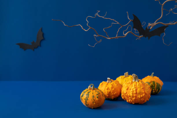 istock Group of orange decorative pumpkins, two black paper bats and scary bare tree branch on deep blue background. Dark still life photo. Moody Halloween composition. Autumn holiday sale 1344917423