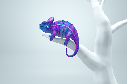 Colorido camaleón sobre una rama aislada sobre fondo blanco. Esta es una ilustración de renderizado en 3D. photo