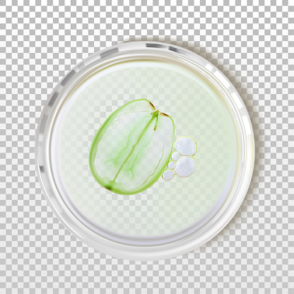 Free download of petri dish vector graphics and illustrations, page 3