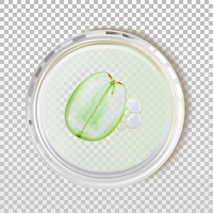 Free download of petri dish vector graphics and illustrations, page 3 Free download of petri dish vector graphics and illustrations, page 3