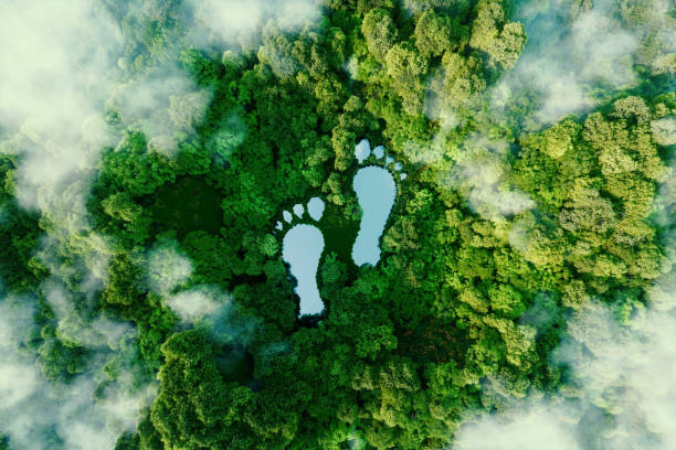 un lago a forma di impronte umane nel mezzo di una foresta lussureggiante come metafora dell'impatto dell'attività umana sul paesaggio e sulla natura in generale. rendering 3d. - stile di vita sostenibile foto e immagini stock