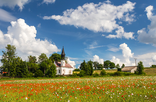 summer idylic rural landscape with poppy field and church, blue sky with white clouds, Chapel of St. Anthony at Vojnuv Mestec, Czech republic