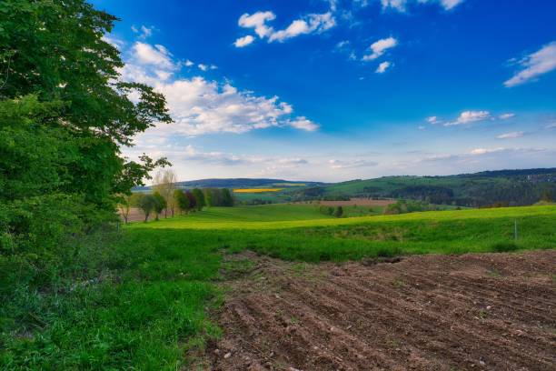 istock on the Rennsteig in the Thuringian Forest 1344924488