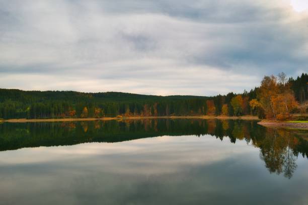 istock on the Rennsteig in the Thuringian Forest 1344924690