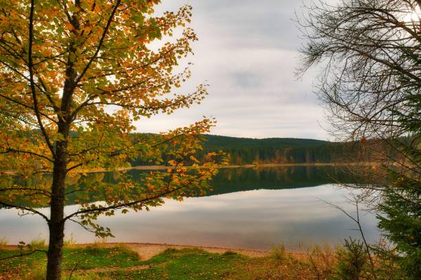 istock on the Rennsteig in the Thuringian Forest 1344924710