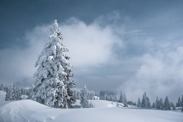 istock Winter Landscape With Fresh Snow 1344925800