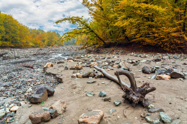 Mountain river bed in autumn season