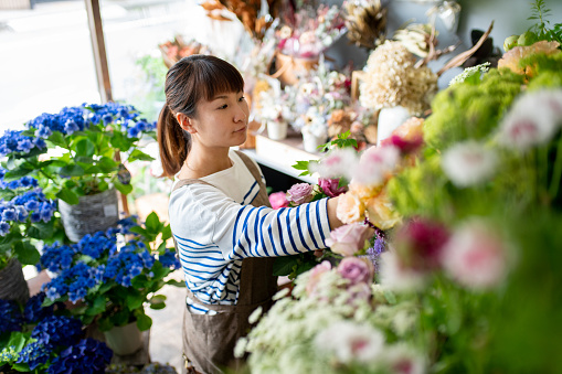 Female florist arranging flowers in her shop. Okayama, Japan.