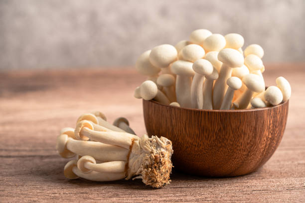 istock Shimeji, Fresh white bunapi mushrooms from Asia in wooden bowl. 1344928580
