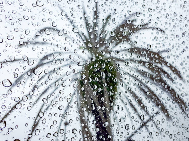 Waiting for rain to end.