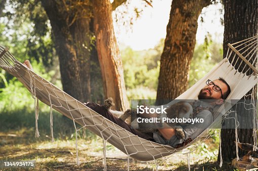 istock Resting with dog in a hammock outdoors 1344934175