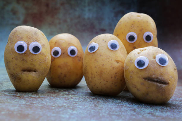 Image of group of baby new potatoes on mottled background, blemished scar marked mouths and googly eyes added to the vegetables give a worried look, humorous concept, focus on foreground stock photo