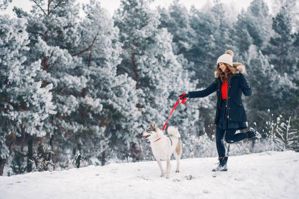 istock Beautiful woman playing with a dog 1344936715