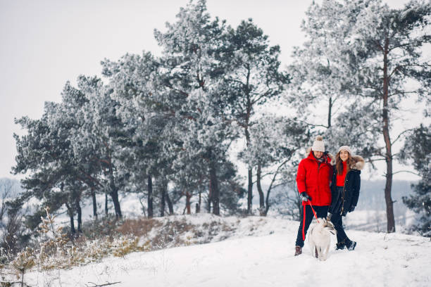 istock Beautiful couple playing with a dog 1344936717