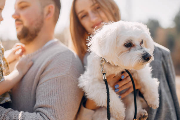 istock Cute family playing in a spring park 1344936813