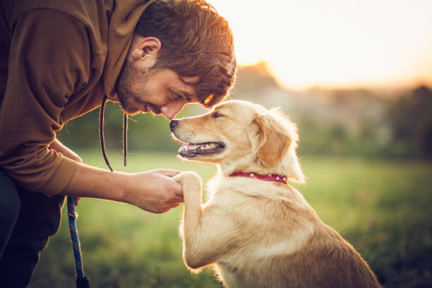 Happy man training with his dog in the nature