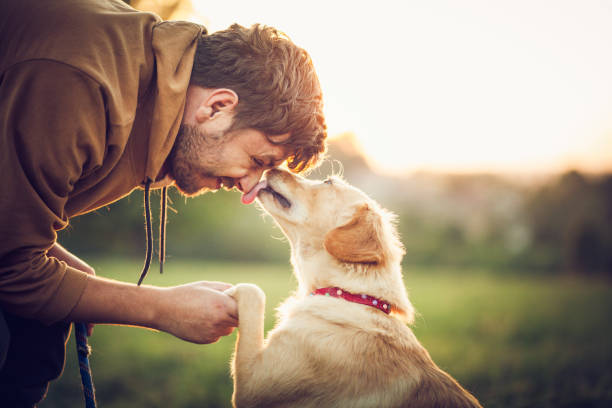 istock Happy man training with his dog in the nature 1344938193