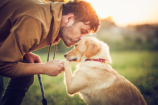 Hombre feliz entrenando con su perro en la naturaleza photo