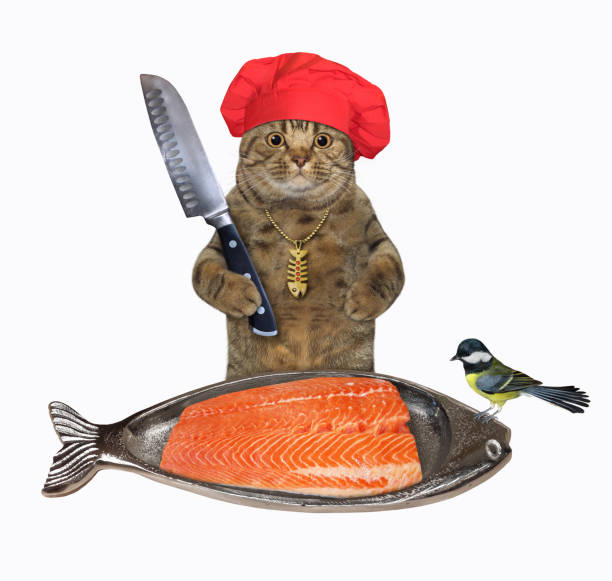 istock Cat cutting salmon on fish shaped plate 1344938516