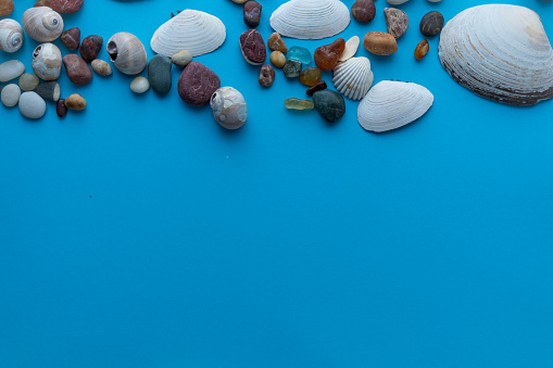 Flat lay composition sea pebbles and seashells on a blue background. space for text