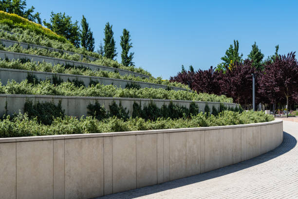Curved concrete terraces with evergreens in public landscape city park terrazas curvas de hormigón con árboles de hoja perenne en el paisaje público del parque de la ciudad
