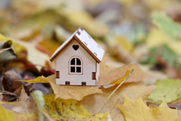 istock Wooden house model on yellow maple leaves background 1344944026