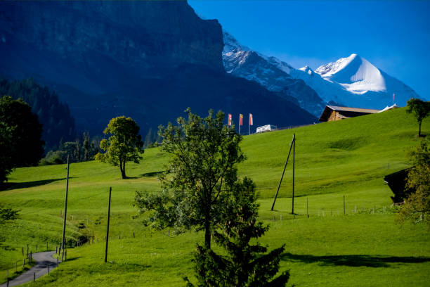 brillante luz de otoño, largas sombras y perspectivas inusuales desde el nuevo v-bahn gondela cable way a mannlichen sobre la base de la cara norte del eiger sobre grindelwald, suiza. octubre de 2021. - silberhorn fotografías e imágenes de stock