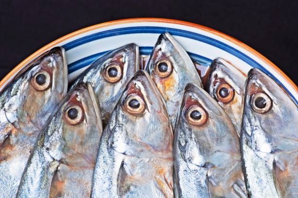 Mackerel fish on plate - black background. stock photo