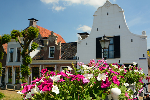 Friesland-Sloten:  focus on the foreground blooming petunia in a flowerpot in the background some canal houses.
