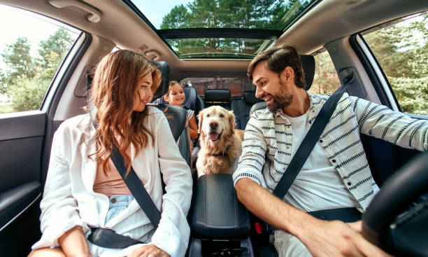 Family with dog in the car The whole family is driving for the weekend. Mom and Dad with their daughter and a Labrador dog are sitting in the car. Leisure, travel, tourism. land vehicle photos stock pictures, royalty-free photos & images