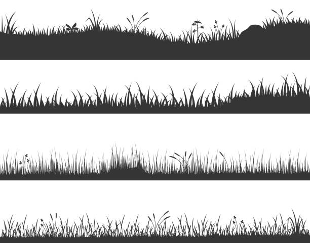 illustrations, cliparts, dessins animés et icônes de fond vectoriel d’herbe - grass prairie silhouette meadow