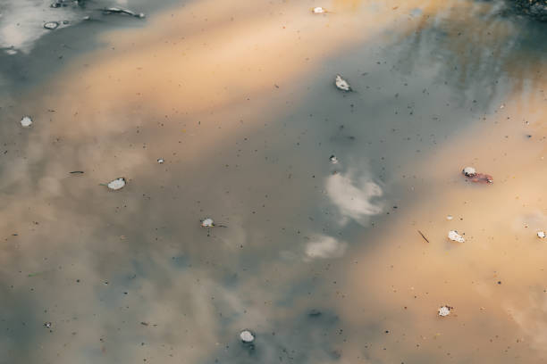 istock a puddle of mud after the rain 1344956532