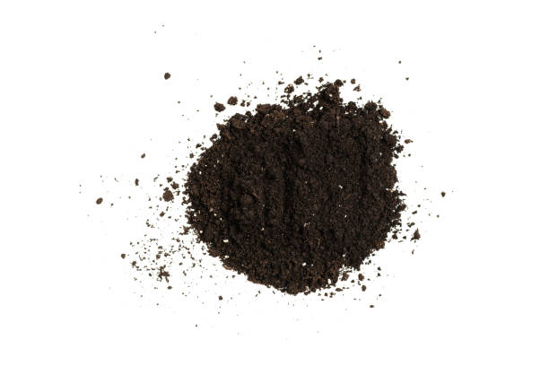 istock Black land for plant isolated on white background. 1344960456