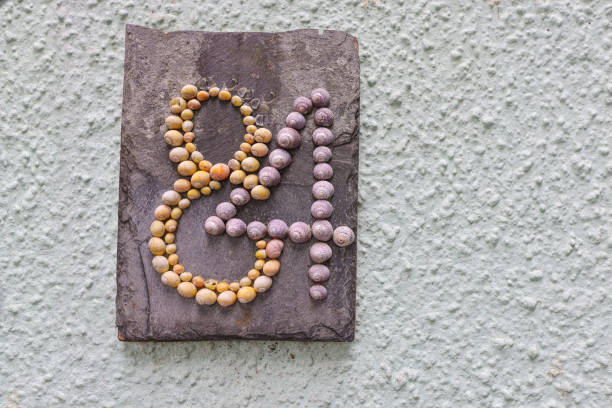 Handmade house number made of seashells on a slate background sitting on a pebble dashed white house