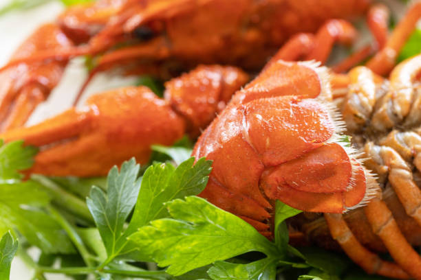 istock Boiled Crawfish close up and parsley leaves. Appetizer protein. 1344963354