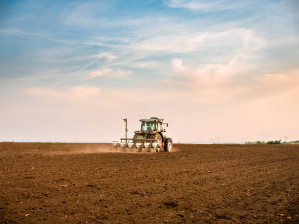 istock Farmer seeding, sowing crops at field. 1344966083