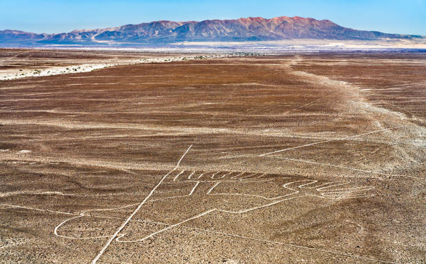 istock Hands figure at Nazca in Peru 1344966472