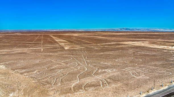 The Tree figure at Nazca in Peru