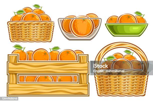 Oranges Vector Cart Vector Oranges Set Stock Illustration - Download Image Now - Basket ...