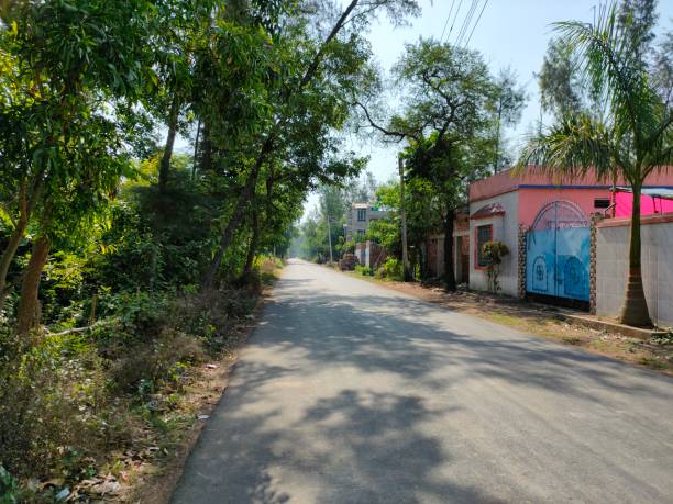 istock Indian village road for transport (West Bengal, burul) 1344970912