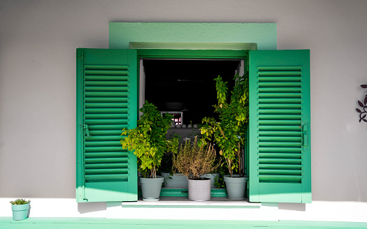 Beautiful vintage green Greek window shutter on white buildings