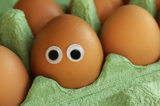 Stock photo showing close-up view of batch of chicken eggs in disposable cardboard egg carton. Googly eyed cartoon face on one egg.