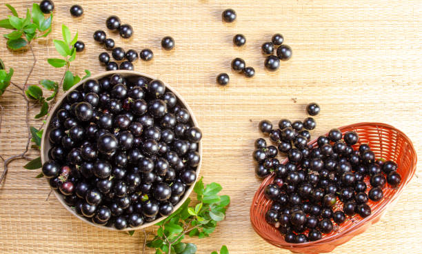 istock Jabuticaba, Jabuticabas freshly harvested in a bowl and baskets arranged on a straw mat, top view. 1344974746