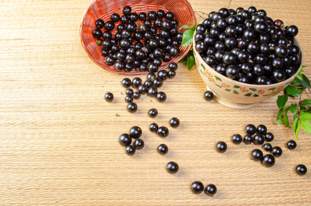 istock Jabuticaba, Jabuticabas freshly harvested in a bowl and baskets arranged on a straw mat, selective focus. 1344974835