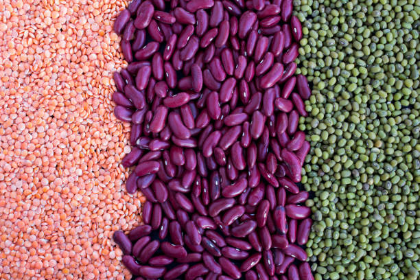 istock Lentils,beans and mung. Close-up.T op view. Vertical stripes. 1344977901
