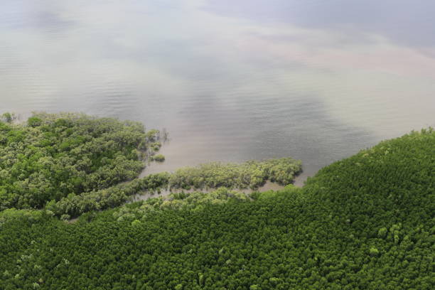 istock Coastline of Cairns 1344978476