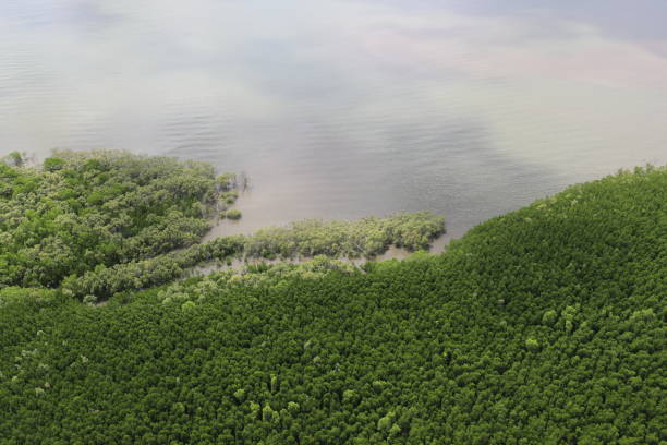 istock Coastline of Cairns 1344978481